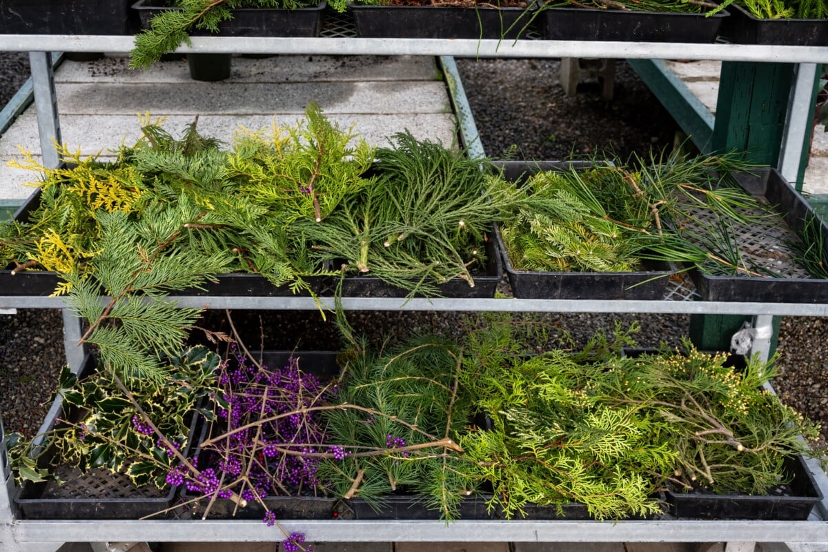 10 Ways to Use Evergreen Cuttings to Decorate for Christmas