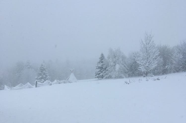 Homestead Holiday Gift Guide