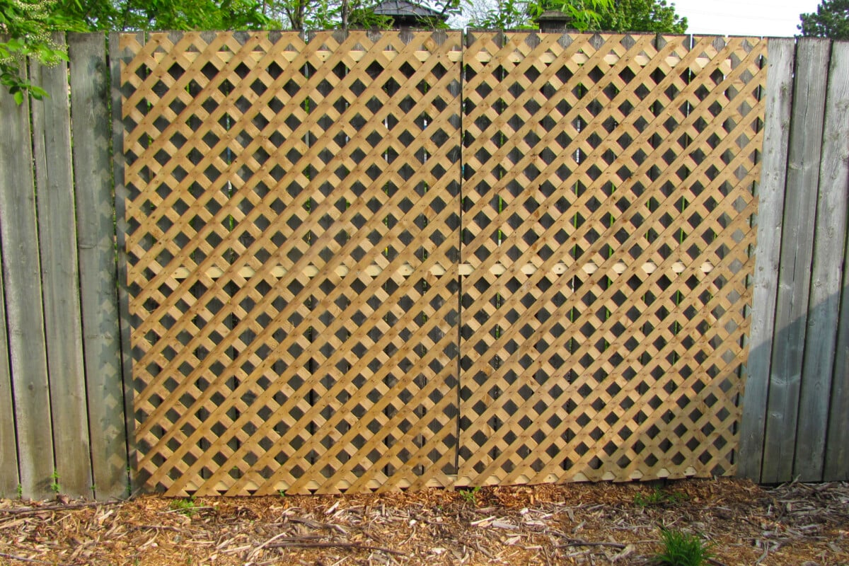 How to Build a Simple Lattice Trellis for Climbing Plants