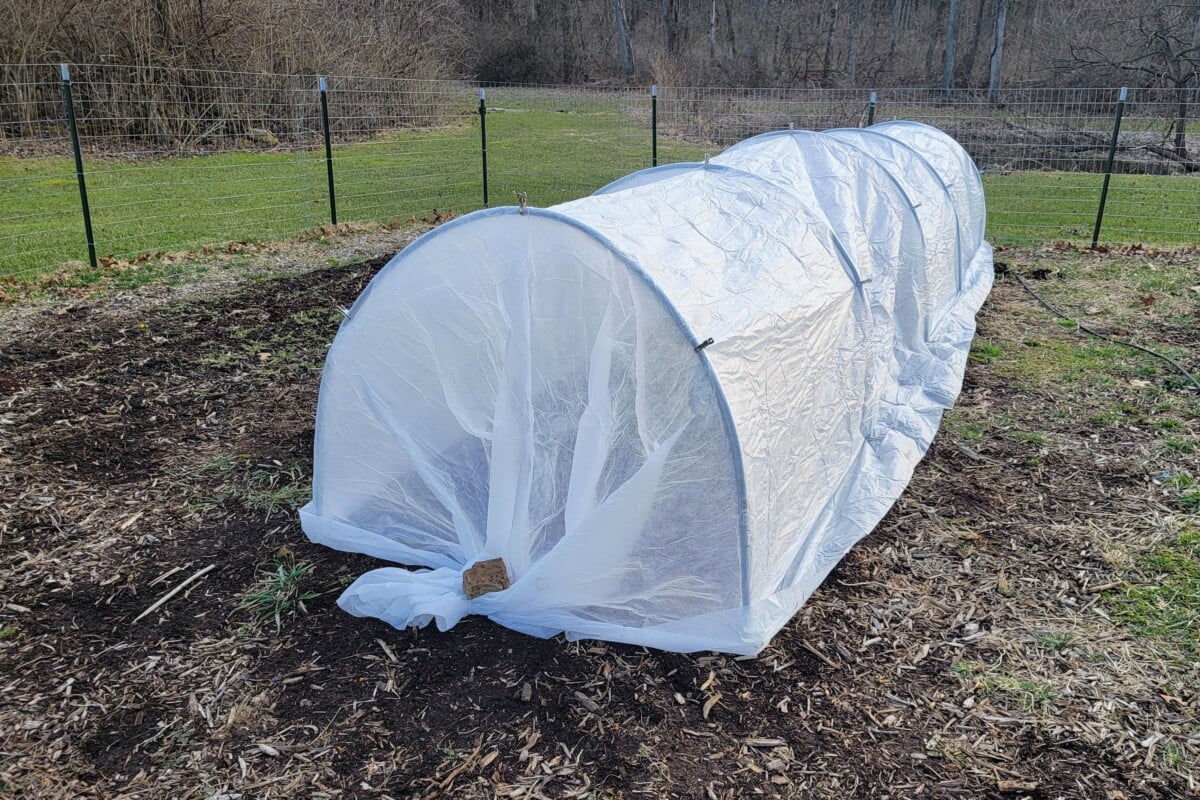 How to Make a Polytunnel that Will Last Forever (& 5 Reasons You Need One)