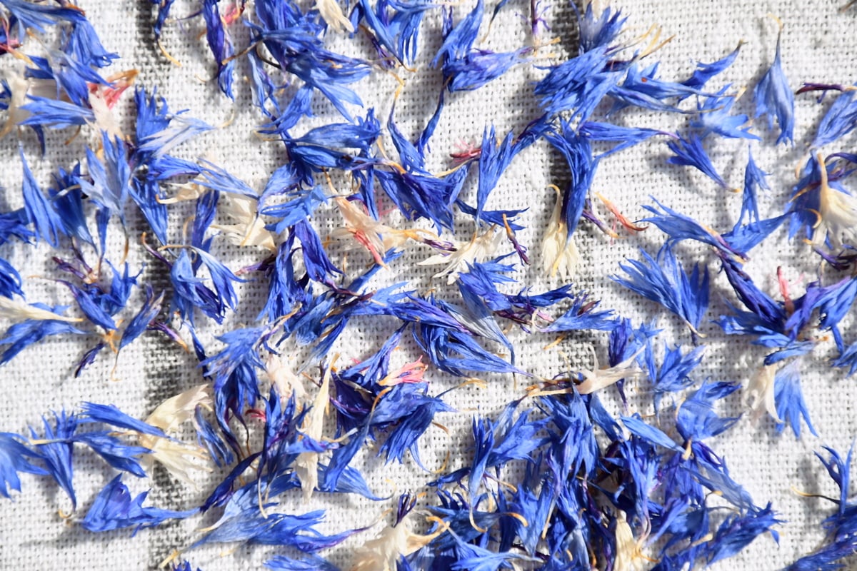 The Easiest DIY Herb & Flower Drying Screen Anyone Can Make